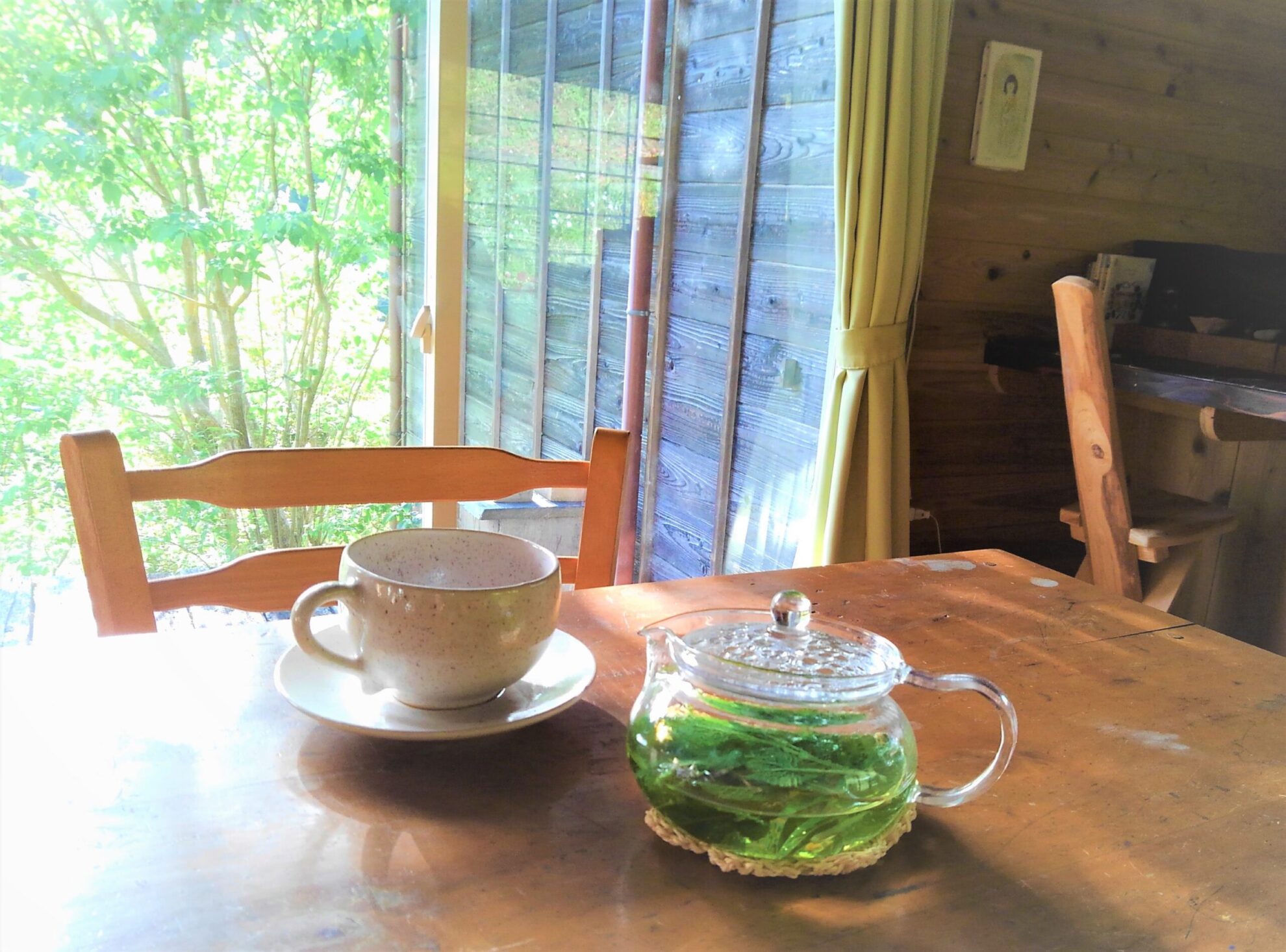 Aroma Garden School グリーンプシュケ