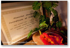 いやしの空間　あろまの森