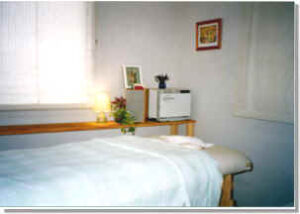 グリーンローズ