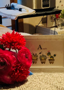 隠れ家サロン　アングリア