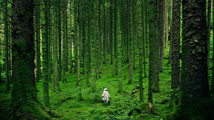 イベント「いやしの祭典」