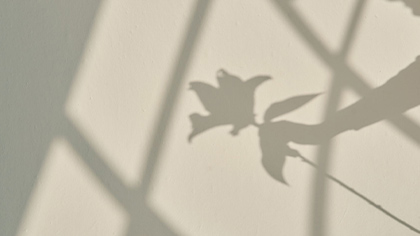 認知症予防のためのアロマヘッドトリートメント検定