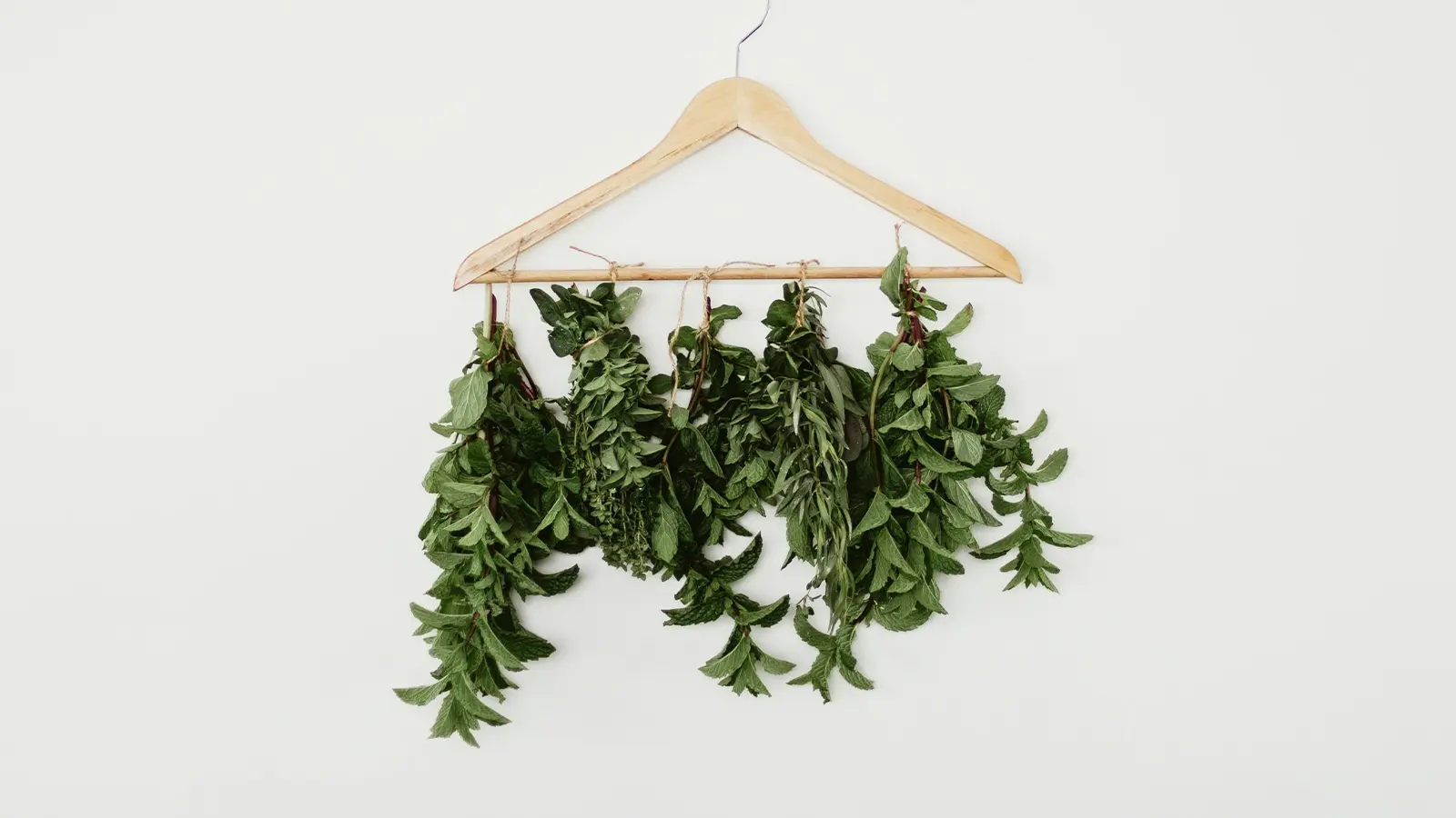 日本アロマコーディネーター協会 2025