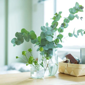 アロマケアサービス ほのか