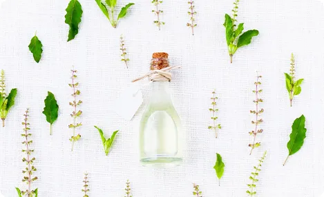 インストラクター　