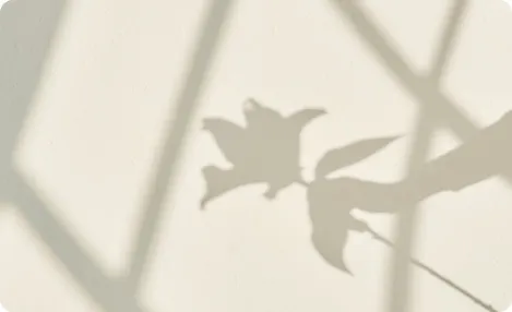 認知症予防のためのアロマヘッドトリートメント検定