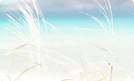 ショルダーラインリラックス検定