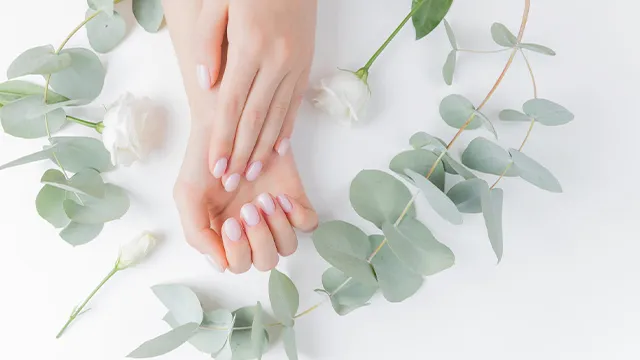 ハンドトリートメント検定